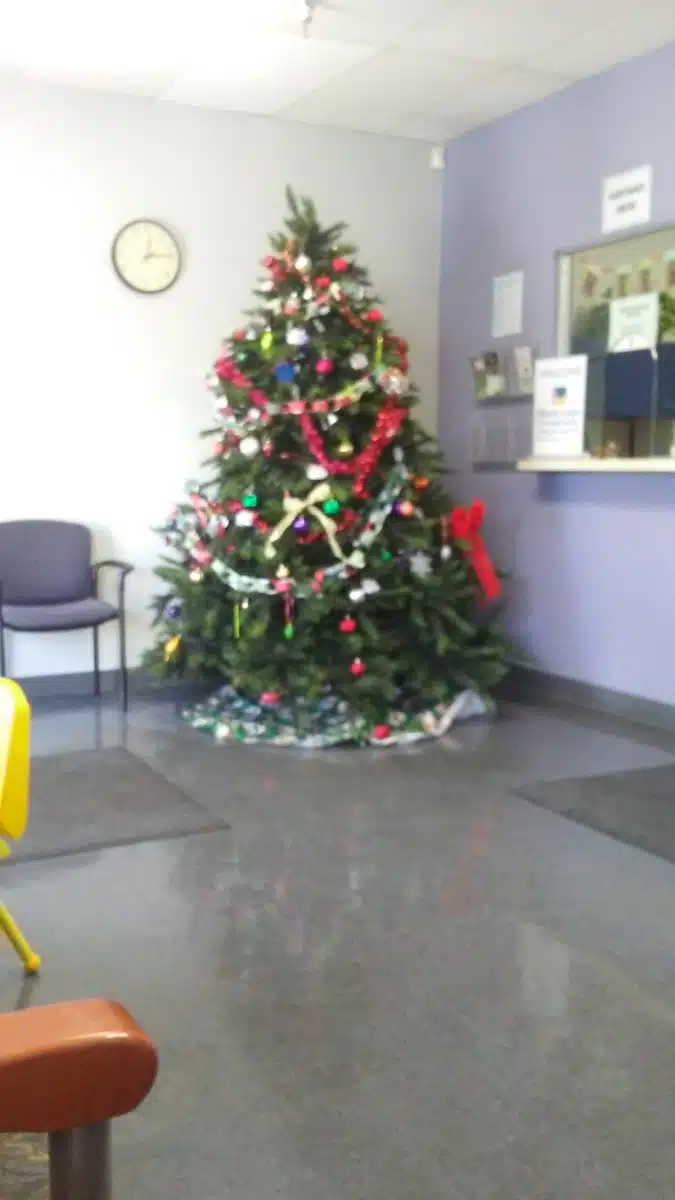 Indio Substance Abuse - Preview