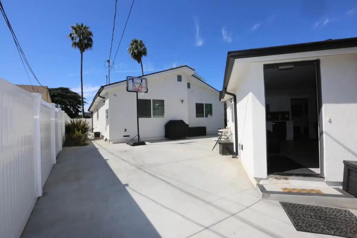 Lion Recovery - Preview