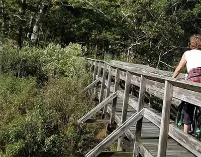 Recovery Services of Connecticut - Preview