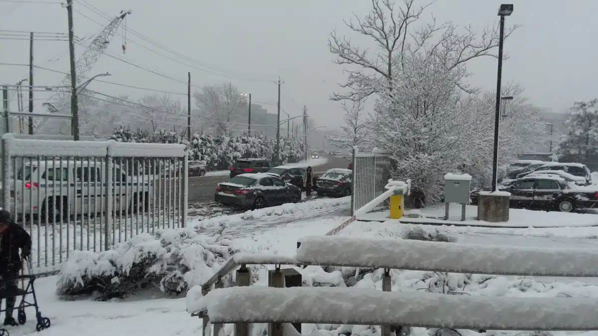 Wellness Center - Preview